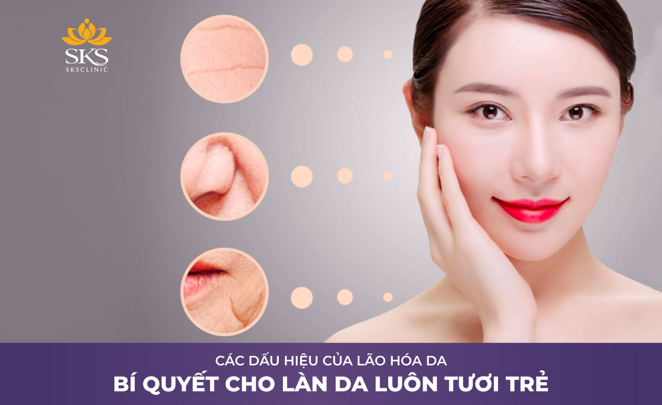 CÁC DẤU HIỆU CỦA LÃO HÓA DA, BÍ QUYẾT CHO LÀN DA LUÔN TƯƠI TRẺ