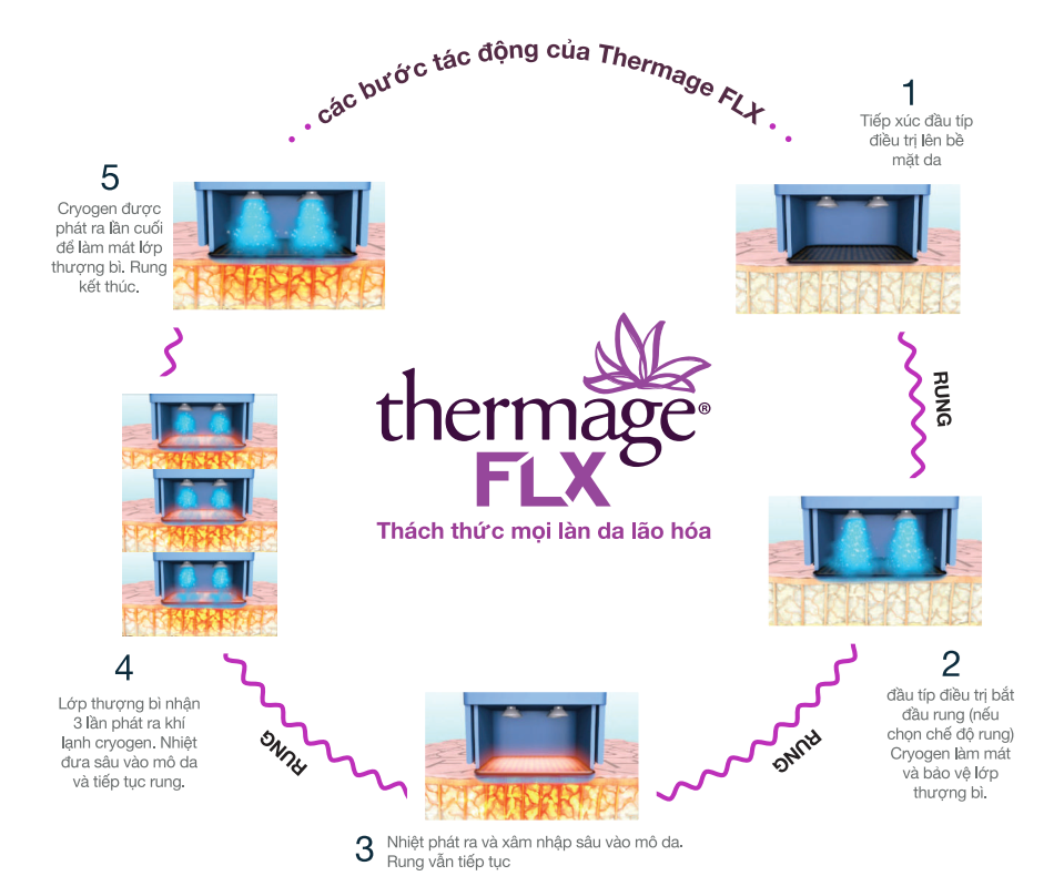 /Upload/image/2024/02/13/upload_-thermage-8_13-02-2024-12-55-57.png